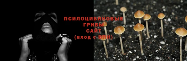 дживик Лагань