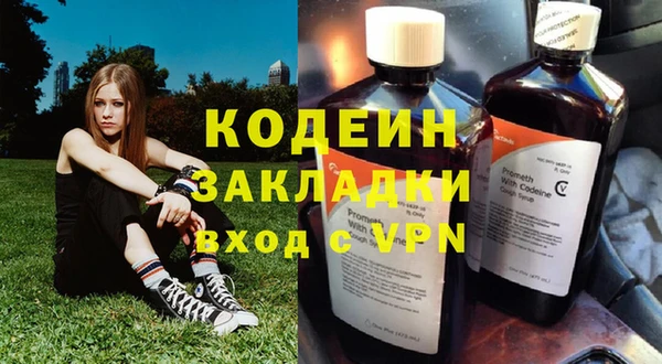 дживик Лагань