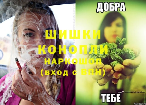 дживик Лагань