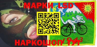 твердый Бийск