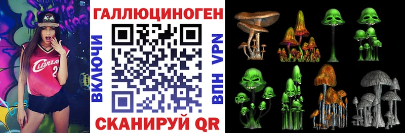 как найти закладки Ессентуки Псилоцибиновые грибы Psilocybe