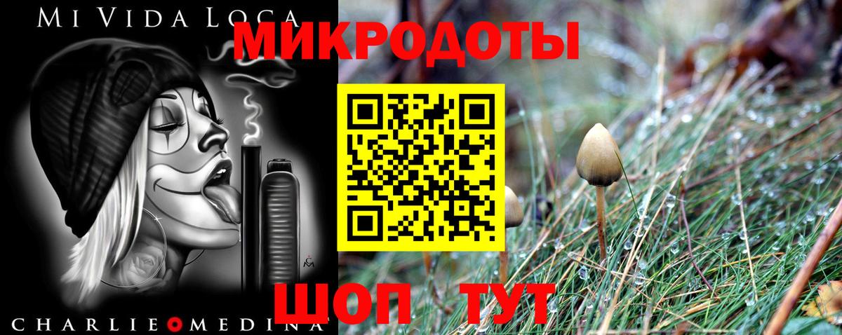 Псилоцибиновые грибы Magic Shrooms Ессентуки