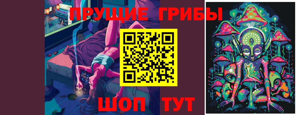 Псилоцибиновые грибы Cubensis  Ессентуки 