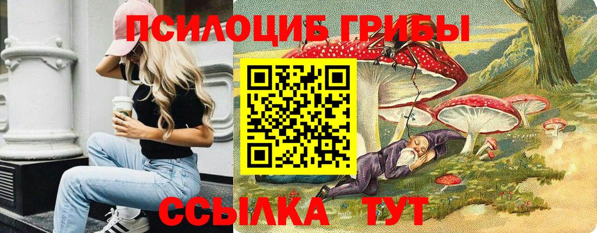 Галлюциногенные грибы мухоморы  Вход с VPN  Ессентуки  Галлюциногенные грибы Cubensis 