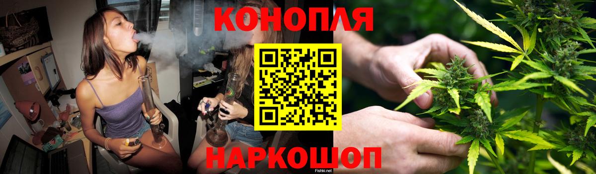 Канабис сатива Ессентуки